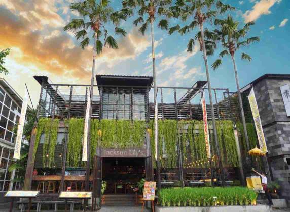 JACKSON LILY'S BY GINGER MOON